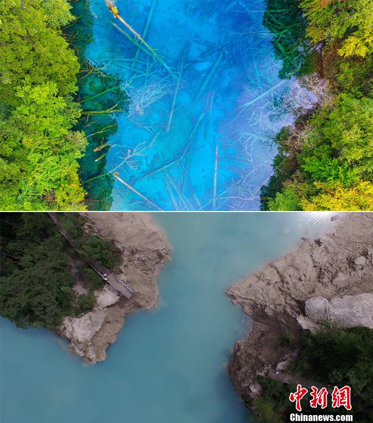 入江紗綾