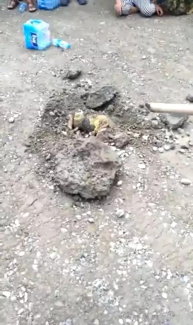 黄色网络高清
