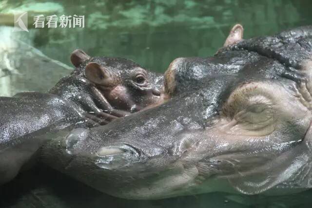 日韩国产