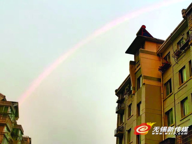 色情 视频 在线 播放