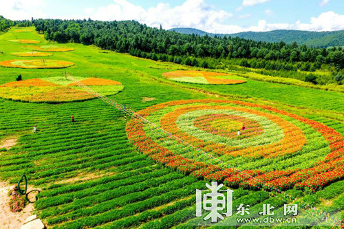 李宗端和贝贝高潮两次