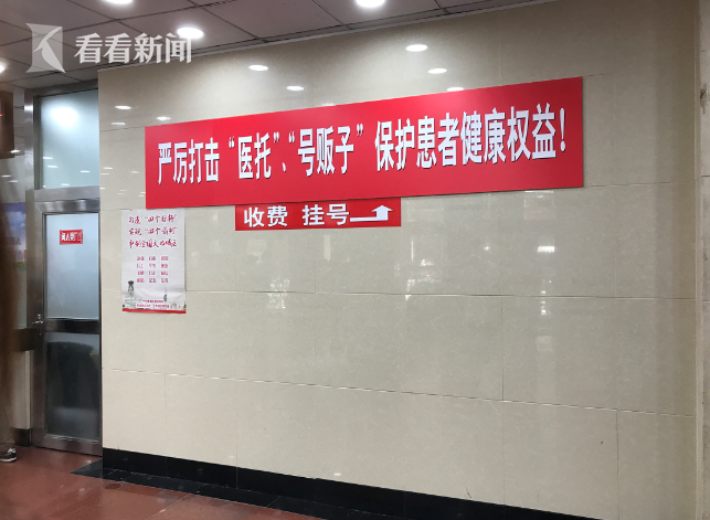 欧美vieox另类极品