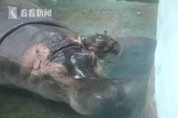 看欧美性按摩影视