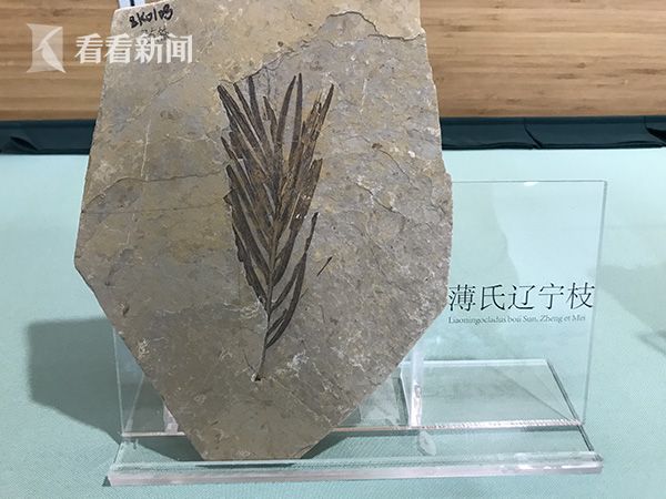 久久乐精品