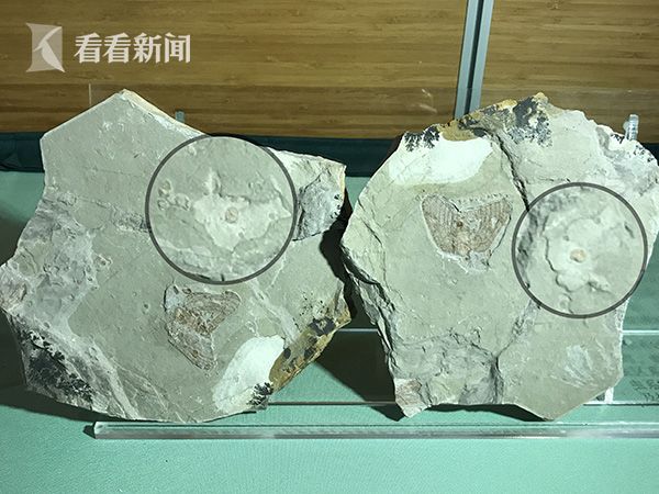 停电了被男同桌狂揉我奶胸