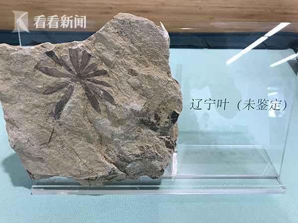 台灣軍人