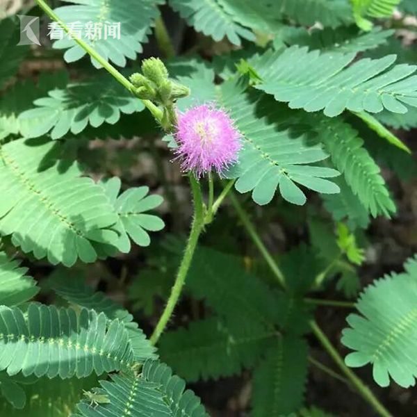 多人混戰長片