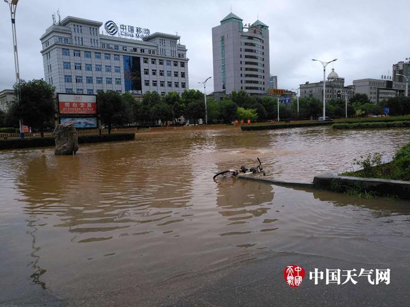 黄色A级三级三级片
