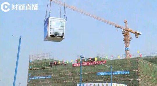 肏屄软件
