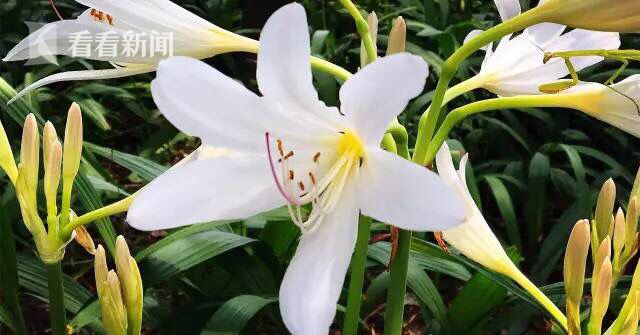 黄色片黄色黄