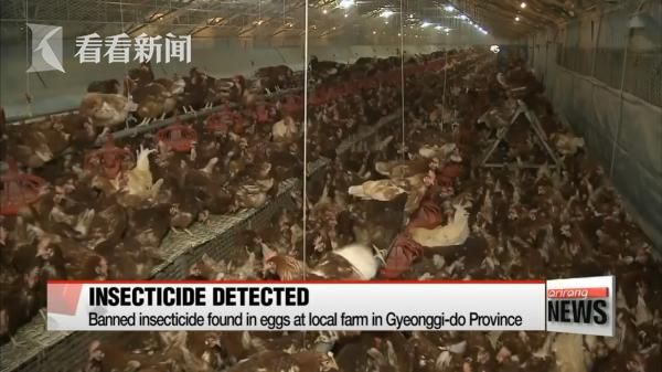 一级大片