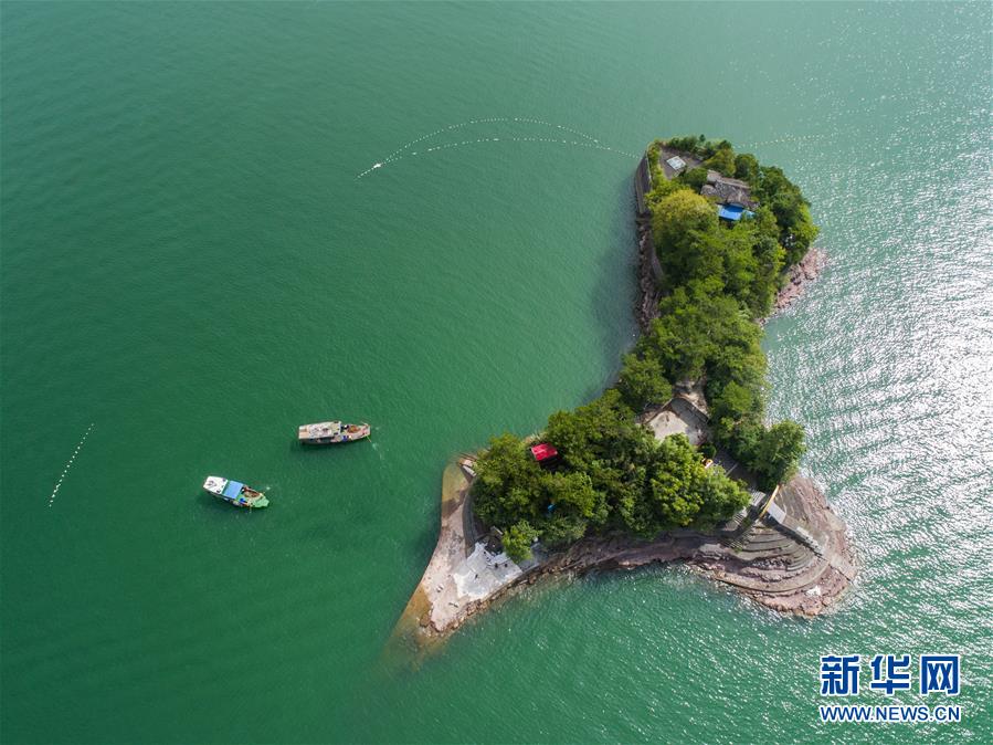 熟妇人妻无码中文字幕视频