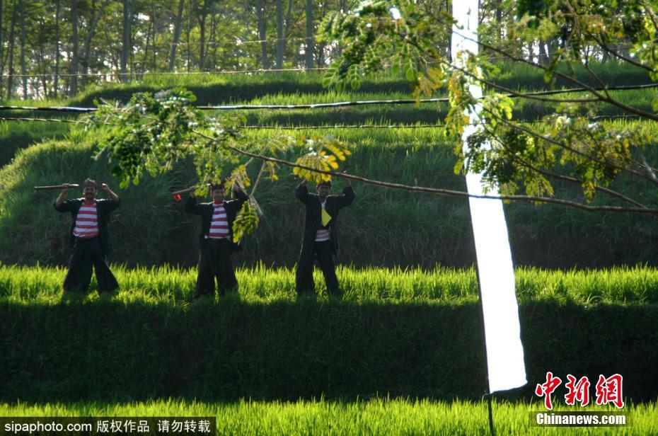 黄色Www在线观看