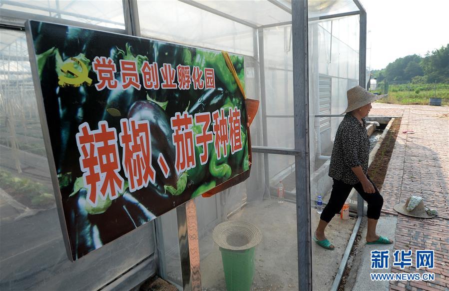 欧美老妇逼逼