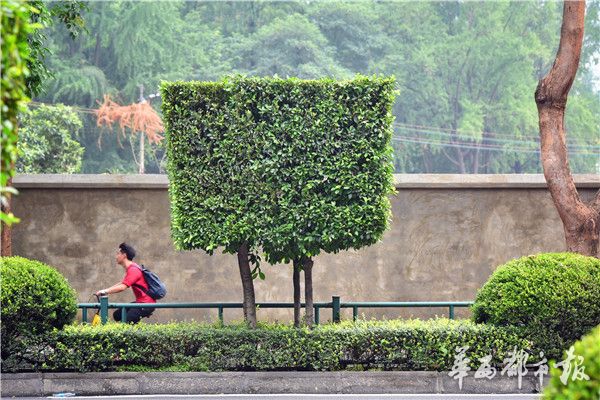 亚洲激情影院