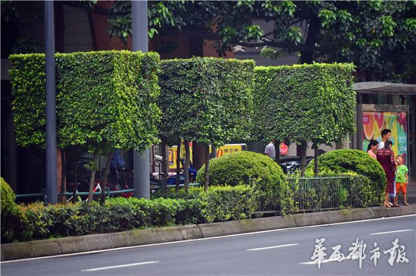 动漫靠逼