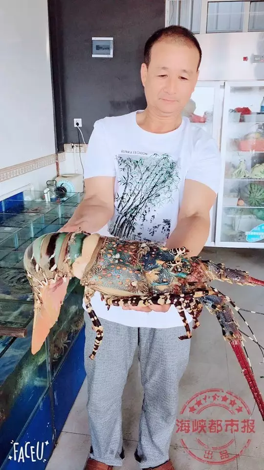 哥布林洞窟樱花动漫nasa双男主