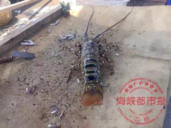 亚洲一区欧美