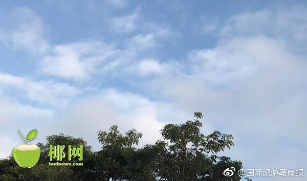 黄色美女网站