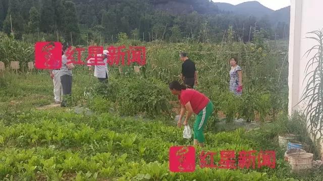 高清性欧美在线