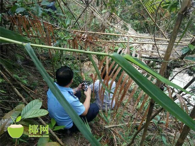 色情 自慰 视频
