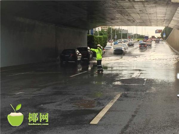 8x8x海外华人永久免费