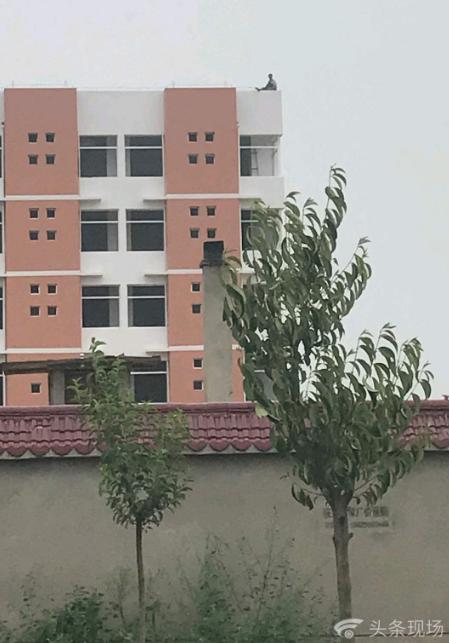 泾阳县有多少人口_泾阳县地图