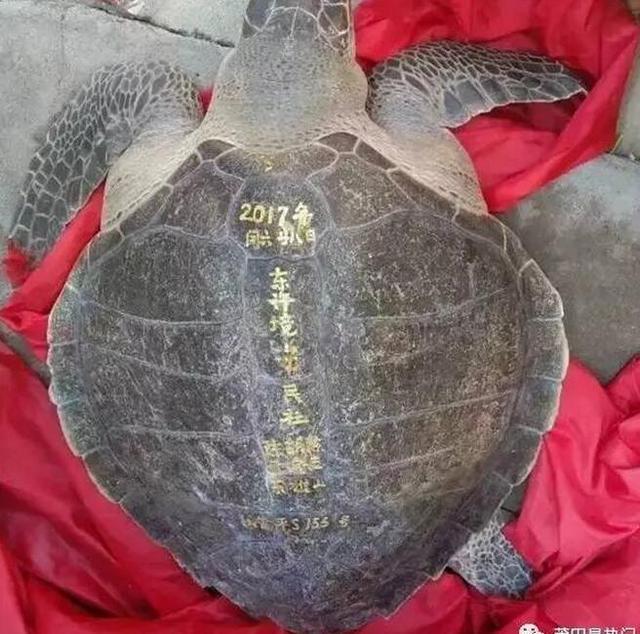 免费无码视频