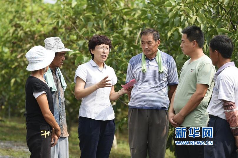 Free农民工熟女丰满Hd