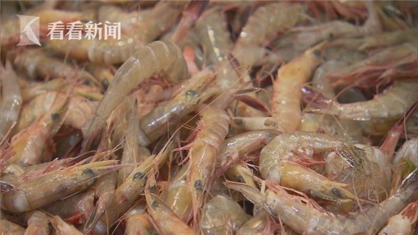 操中国熟女老骚逼
