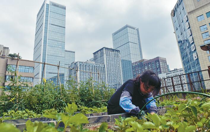 99 高潮片免费视频小水水