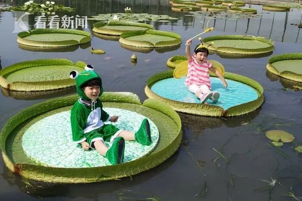三上悠亚持续高潮40分钟