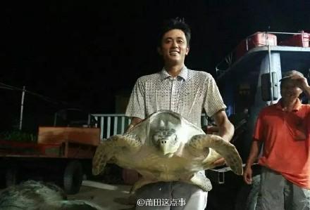 张婉莹视频暑假作业