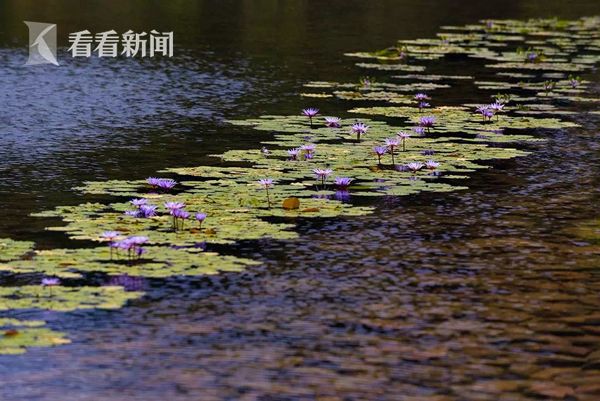 久久三级电影