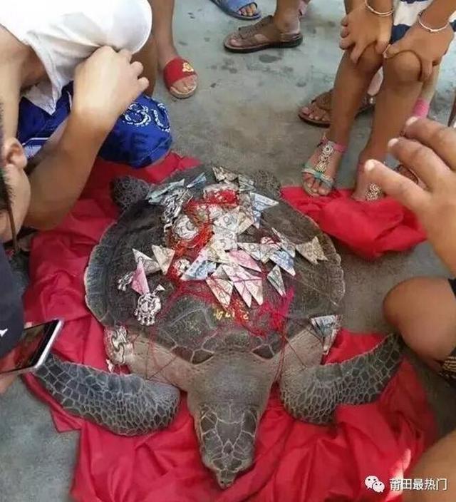 国产做a爰片久久毛片A我的朋友