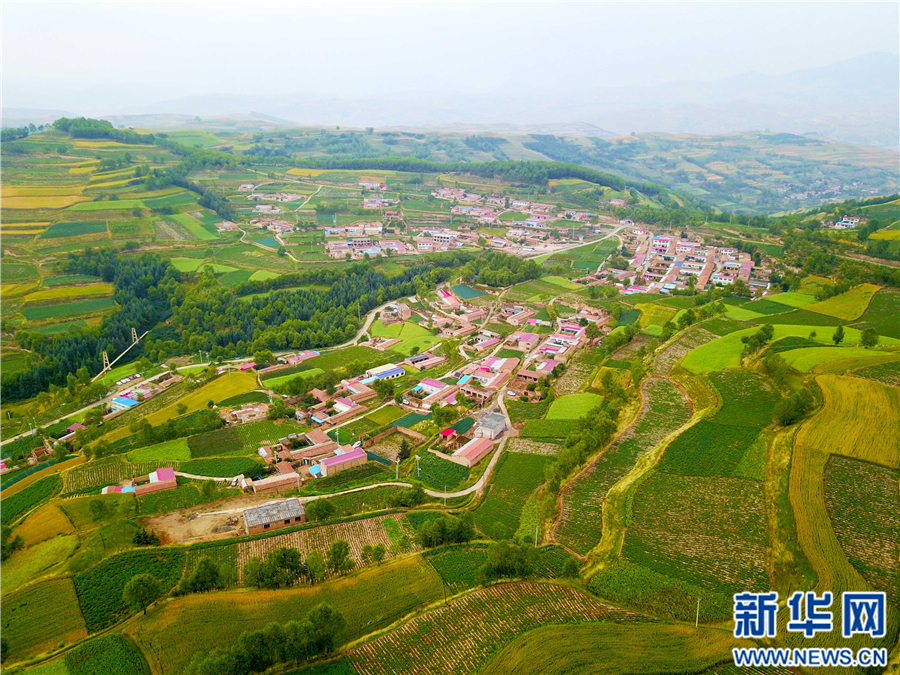 老师没戴套子c了我一天视频