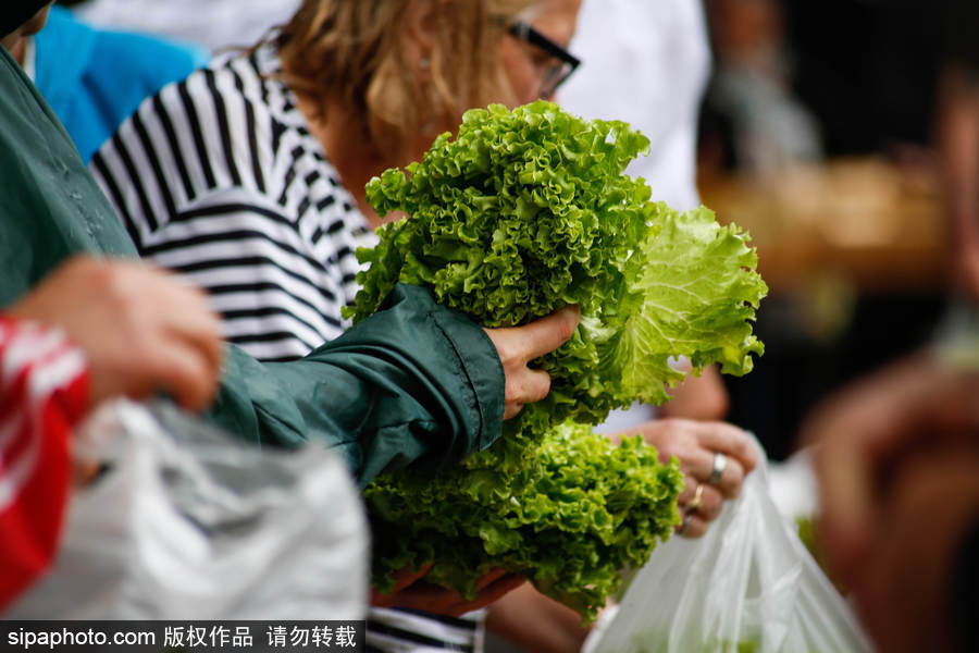 成人 色 图 网站