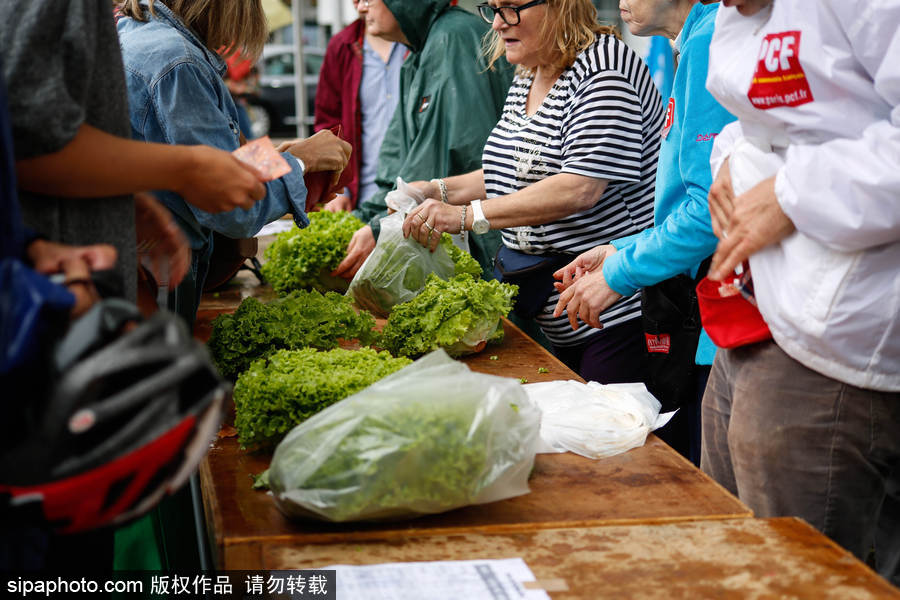 动漫美女被吸乳羞羞连裤袜