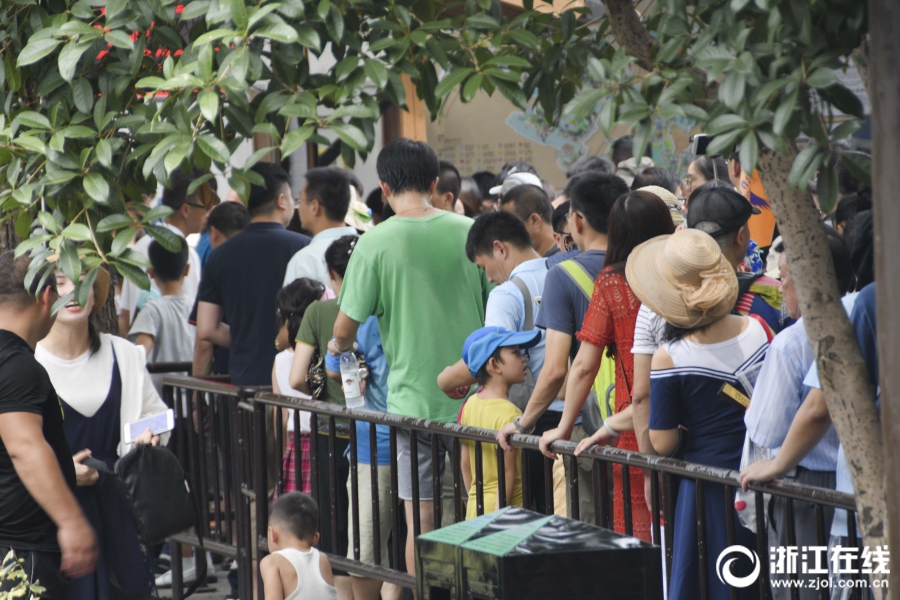 adc年龄确认大驾光临大象的亮点