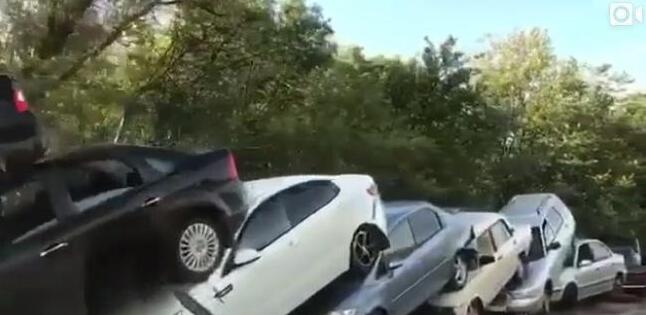 一级黄色片网站
