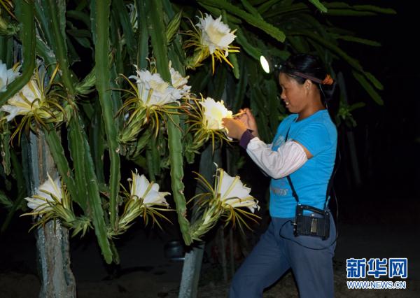 美女校花 张开腿让我
