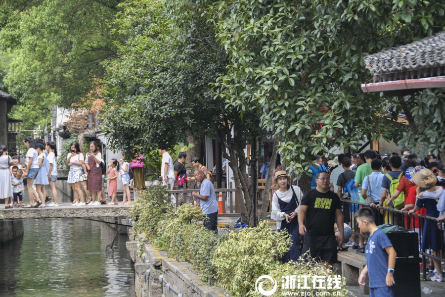 欧美性爱意大利多毛贵妇性饥渴Hd