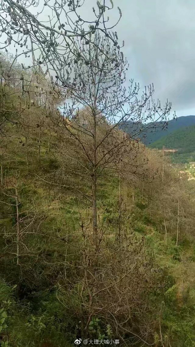 厕所视频偷拍女人裸体