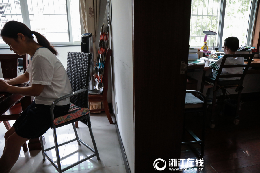 中国农业人口占比_世界肥胖人口占比图片