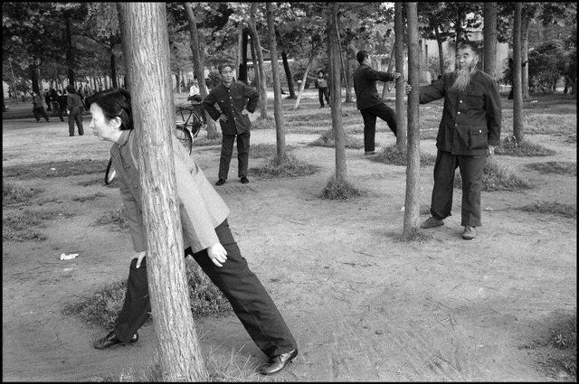 欧美孕交