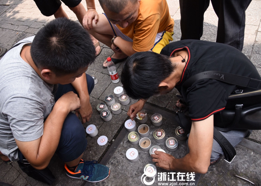 黄色网站电视在线观看
