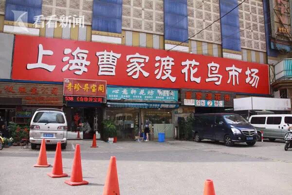 欧美Aa 3级片