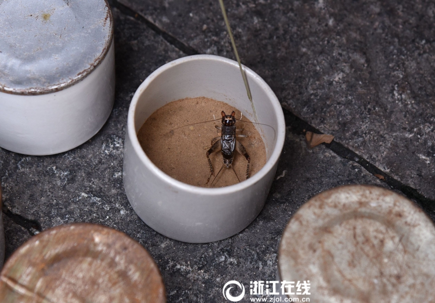 搜索什么网站黄色的