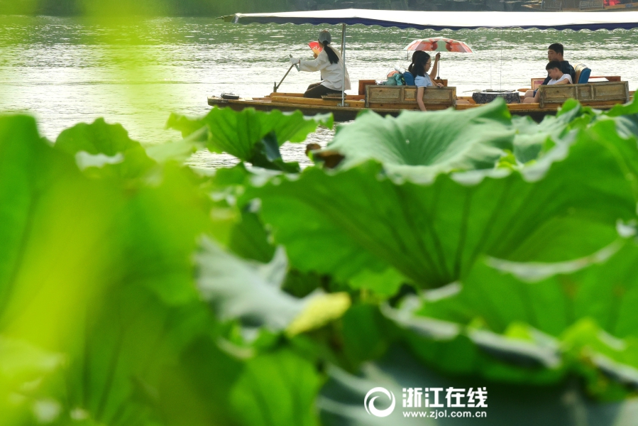 成人羞羞视频 免费湖北