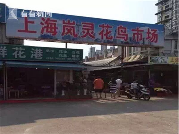 免费 下载 色情 影片